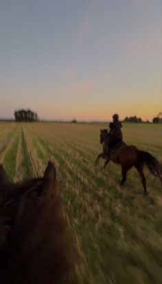 two people riding horses in a field at sunset