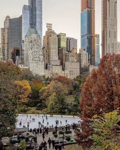 people skating on an ice rink in central park, new york city with skyscrapers in the background