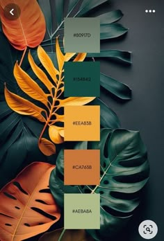 an image of some plants and leaves on a black background with the colors in it