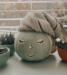 a pumpkin with a hat on it sitting next to some succulents