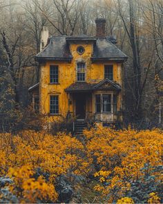 an old abandoned house in the woods with yellow flowers on the ground and trees around it