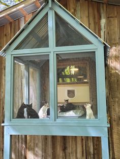 several cats are sitting in the window of a small house that is made out of wood