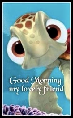 a card with an image of a turtle and the words good morning my lovely friend