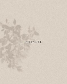 the word botane is written in black on a white background with leaves and branches