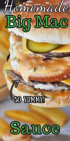 a close up of a sandwich on a plate with french fries