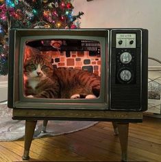 a cat sitting on top of a tv set in front of a christmas tree with lights