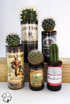 there are many different types of beer in the bottles on this counter top with cactuses