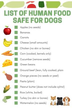 list of human food safe for dogs