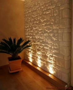 a potted plant sitting on top of a wooden floor next to a stone wall