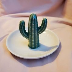 a small green cactus sitting on top of a white plate