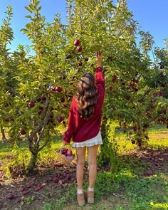 a woman standing in front of an apple tree reaching up to pick some apples from the tree