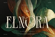 the elnora typeface is displayed on a dark background with leaves and foliage