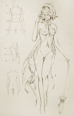 a drawing of a woman in various poses and body shapes, from the front to the back