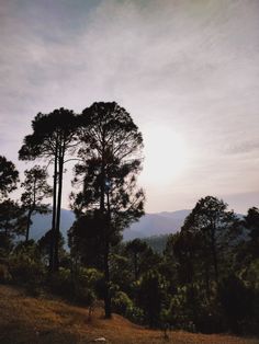 the sun shines through the clouds over some trees on top of a hill with mountains in the distance