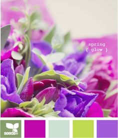 purple and green flowers with the words spring glow on them in white text overlay