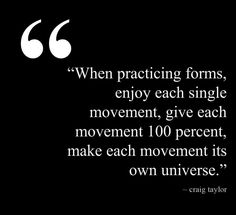 a quote from craig taylor about practicing forms, enjoy each single moment give each movement 100 percent, make each movement its own universe