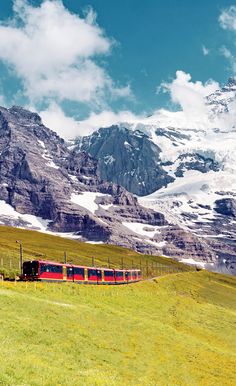 a red train traveling through a lush green field next to snow covered mountain peaks in the distance