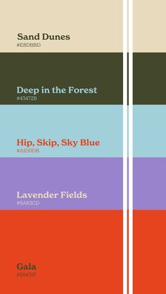 four different types of font are shown in the same color scheme, each with their own type