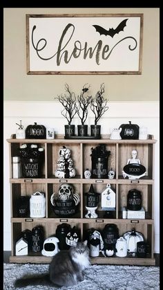 a cat sitting on the floor in front of a shelf with halloween decorations and a sign above it