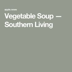 the vegetable soup is shown in white on a gray background with text that reads, vegetable soup southern living