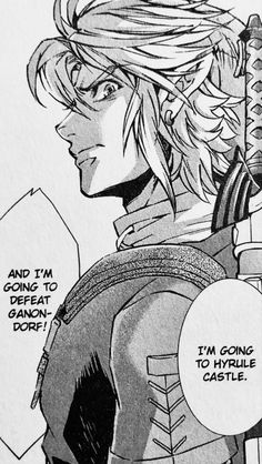 Link Manga Panel, Zelda Manga Panels, Link Manga Icon, Link Twilight Princess Manga, Loz Manga, Link Wallpapers, Legend Of Zelda Manga, Link Sketch, Link Loz