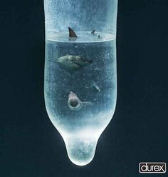 a glass filled with water and sharks swimming in it's bottom, surrounded by smaller fish