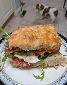 a sandwich on a plate with a dog in the background