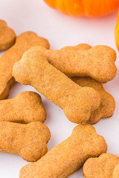 dog biscuits and pumpkins on a white surface