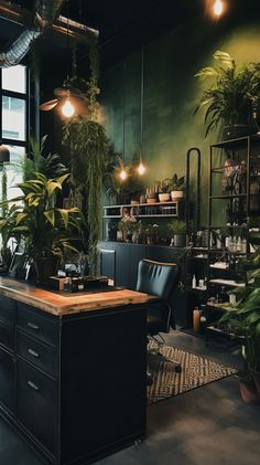 a room filled with lots of potted plants