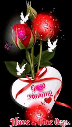 two roses in a heart shaped vase with the words good morning have a nice day