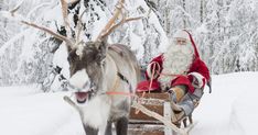 santa claus riding in a sleigh pulled by reindeers through the snow covered forest