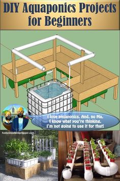 the book is about how to build an aquaponics project for beginners, with instructions