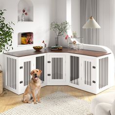 a dog sitting on the floor in front of a white cabinet with doors and drawers