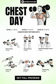 the chest day workout poster shows how to use dumbbells and bench pressups