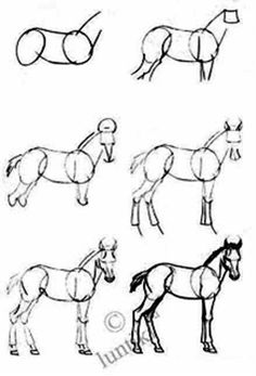 several different types of horses drawn in pencil