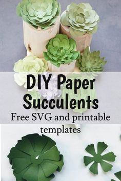 paper succulents are the perfect way to decorate your home