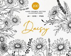 daisy hand drawn flowers and plants with the words daisy written in gold on it