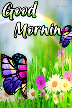 the words good morning with butterflies and daisies