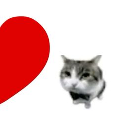 a cat looking at a red heart on a white background