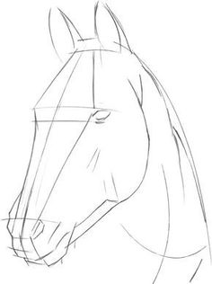 a horse's head is shown in this drawing