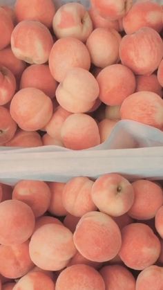 the peaches are ready to be sold at the market