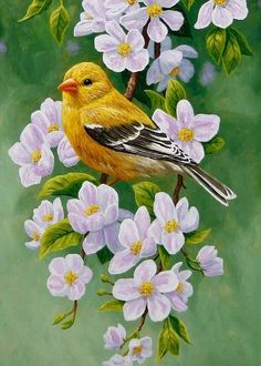 a painting of a bird sitting on a branch with white flowers in the foreground