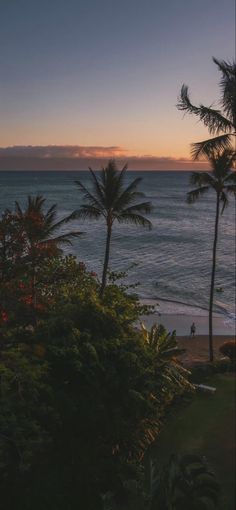 the sun is setting over the ocean with palm trees