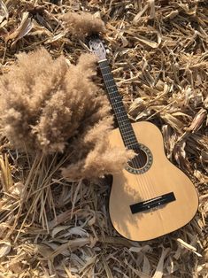 an acoustic guitar sitting in the middle of dry grass