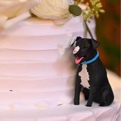 a black and white dog sitting next to a wedding cake