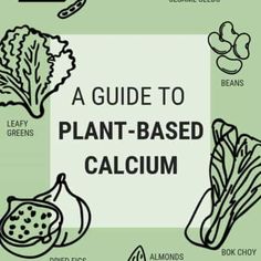 a guide to plant - based calculam