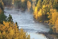 a river surrounded by trees in the fall