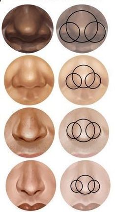 six different types of nose shapes and their corresponding parts are shown in the image below