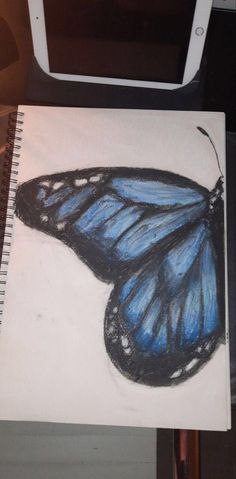 a drawing of a blue butterfly sitting on top of a table