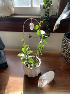 a potted plant sitting on top of a wooden table next to a window sill